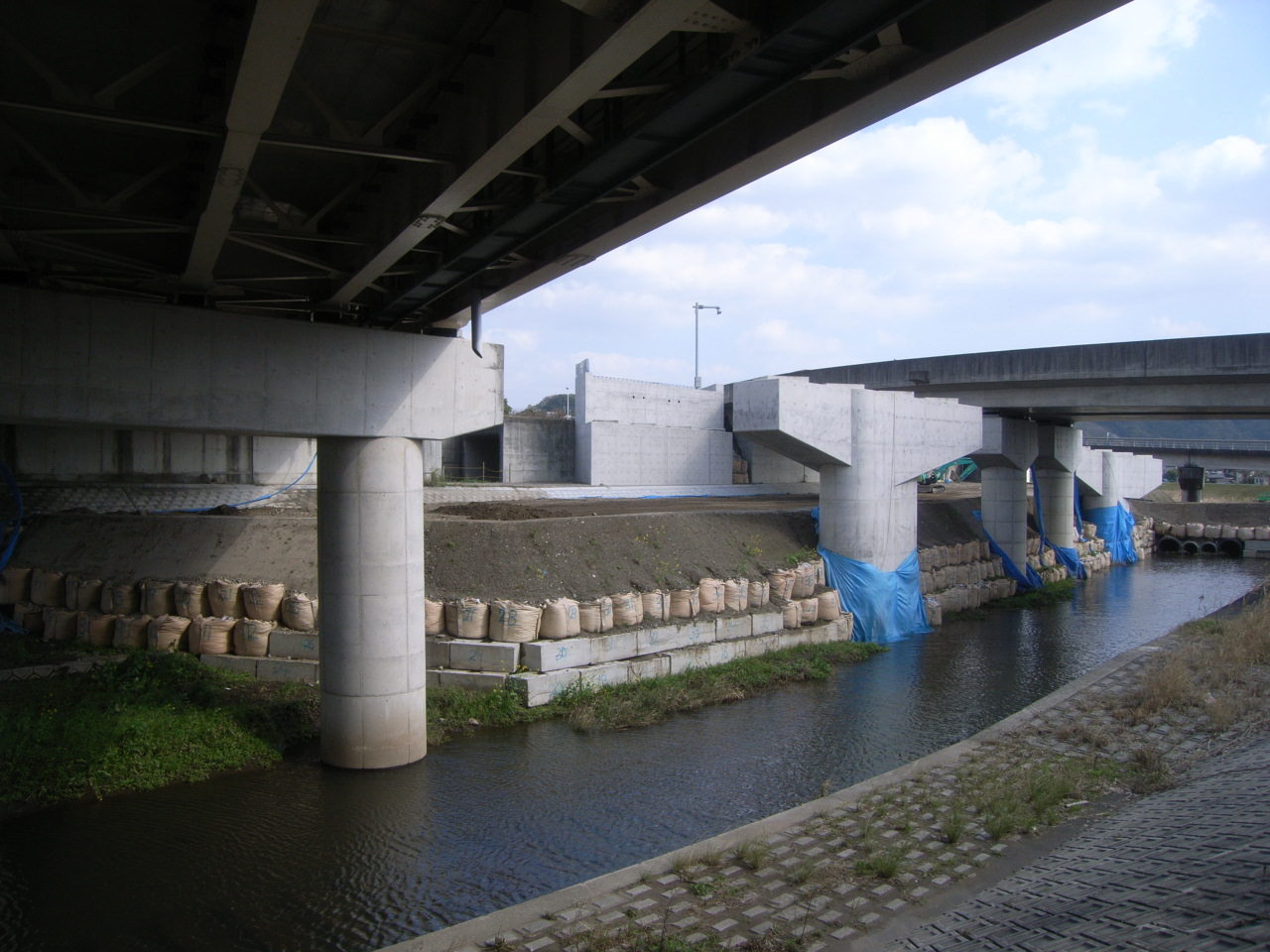 鹿児島10号日木山川橋  （上下線）A1下部工外工事