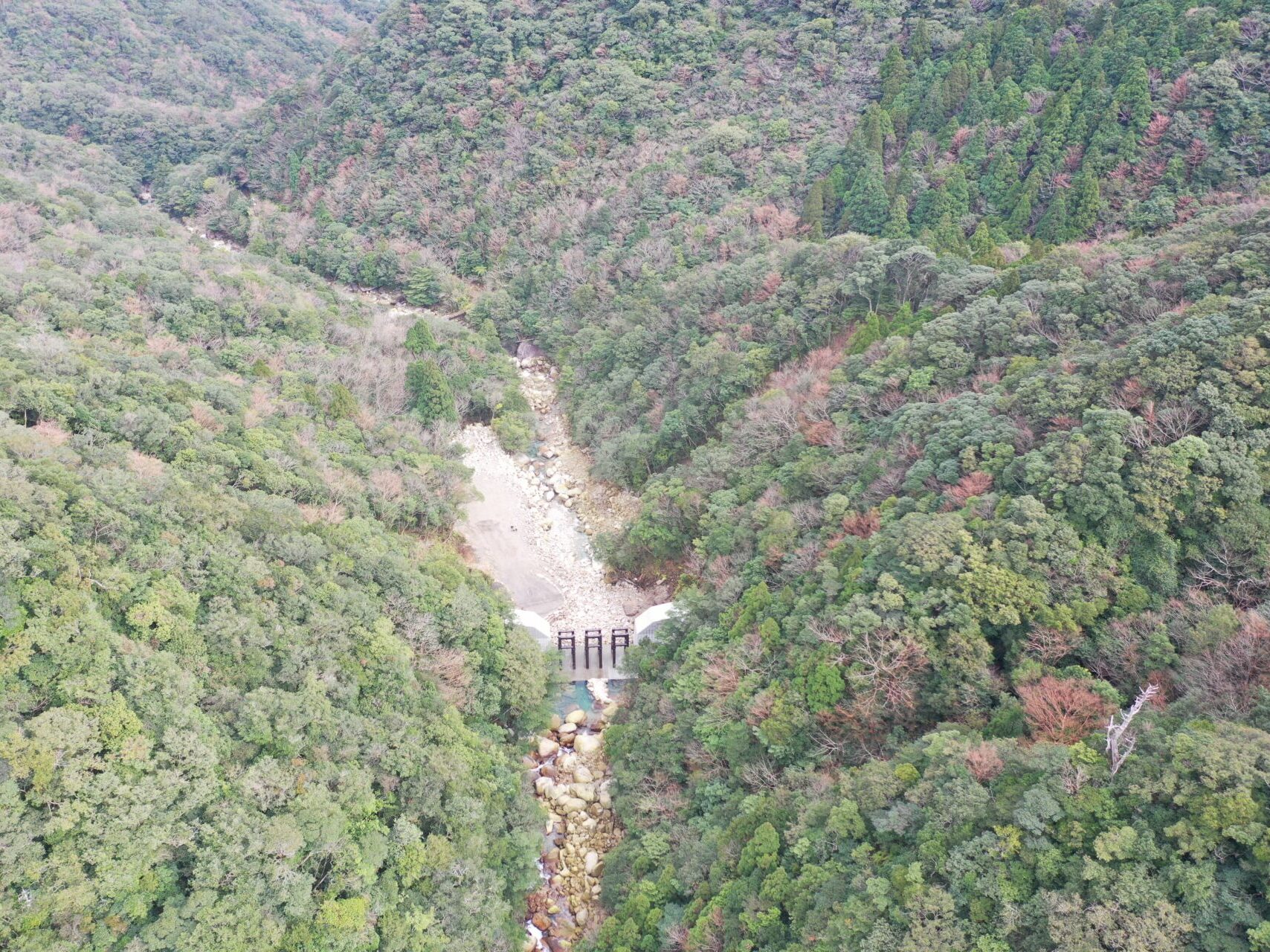 太忠岳７７治山工事（関連災）